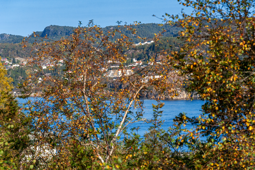 Drotningsvikveien 64B