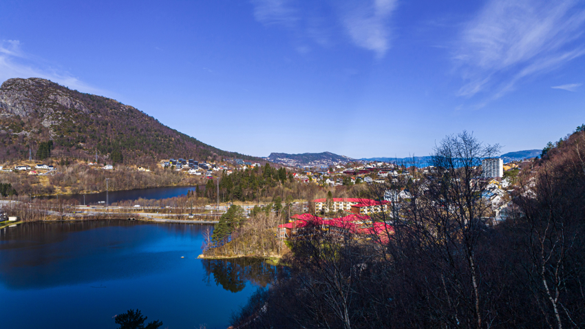 Lyngbøveien