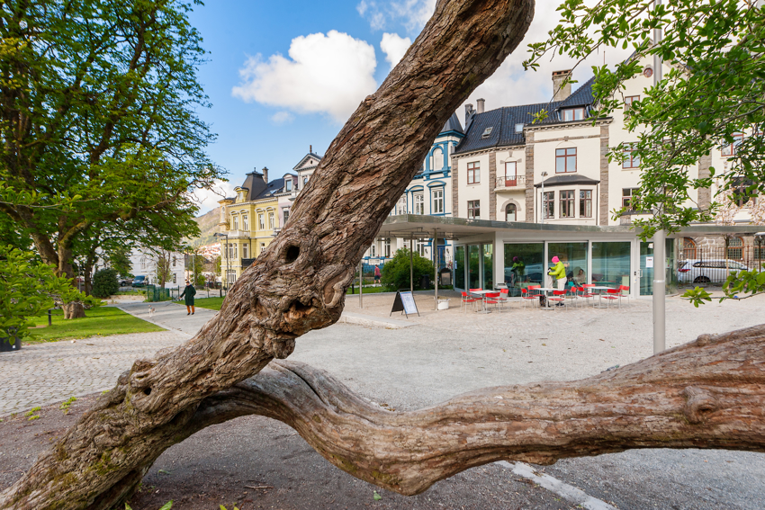 Bjerregårds gate 2
