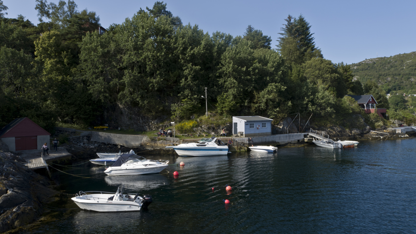 Bogno 24