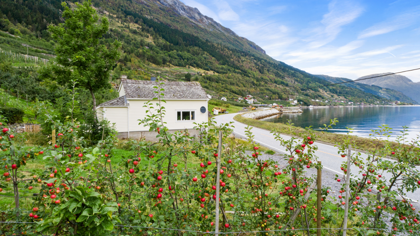 Fjordavegen 3114