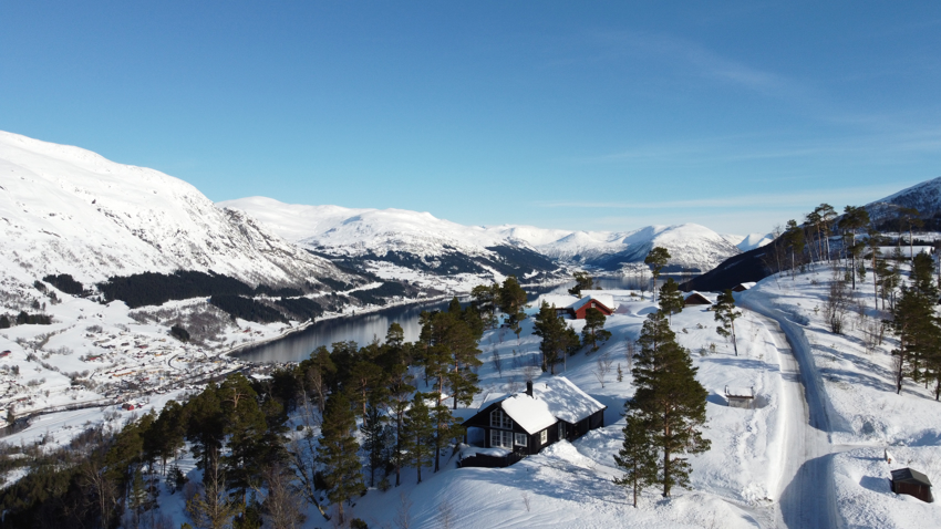 Holtane Hyttegrend