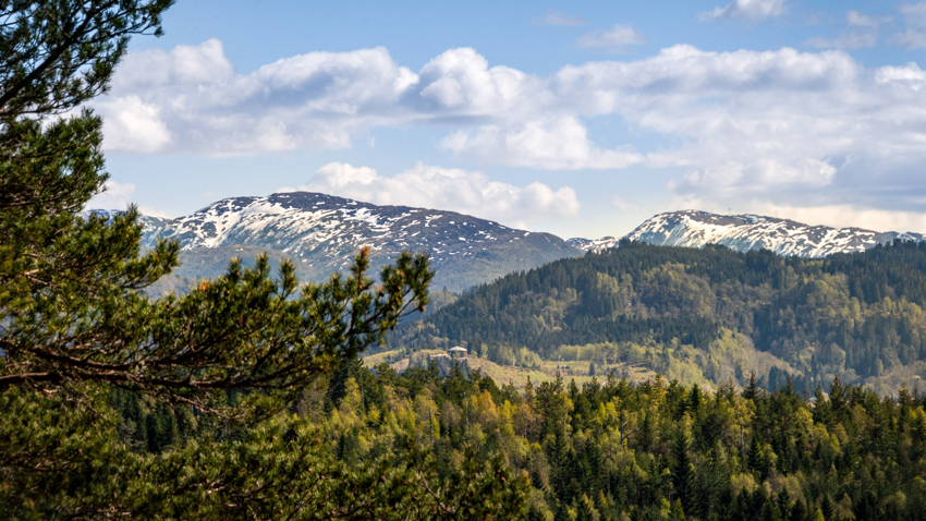 Eidsnesvegen 126
