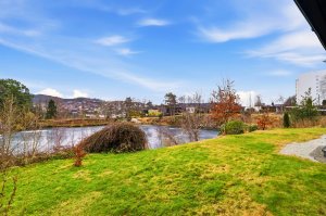 Grønne og fine omgivelser med god avstand til nabohusene