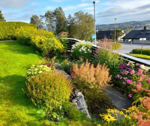 Våkleivåsen 24 ved ZMegleren