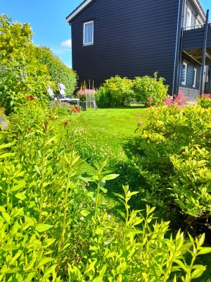 ..og hagen i grønn drakt om sommeren:)