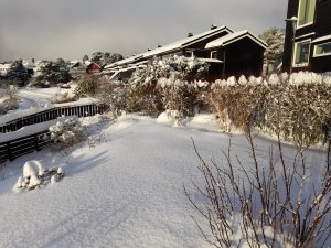 Hagen i hvit frakk..