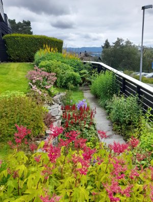 Staudene i hagen blomstrer hele sesongen fra april til oktober