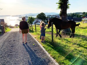 Hestene i nabolaget er spesielt populær blant barna. Den landlige atmosfæren skaper en følelse av ro og tilhørighet. 
