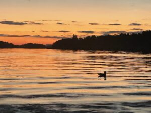 Rolig kveldsfiske på Hjellestad eller havfiske ved Marsteinen. Mulighetene er mange. 
