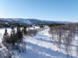 Langrennsløypene starter like utenfor døren, og skistadion ligger kun et steinkast unna. Fra Geilojordet, en kort spasertur fra leiligheten, går skibussen som raskt og effektivt tar deg til alpinanleggene.