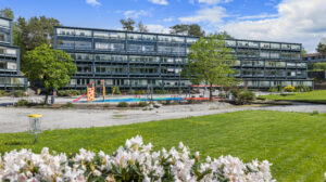 Flere fine lekeapparater og stor gressplen