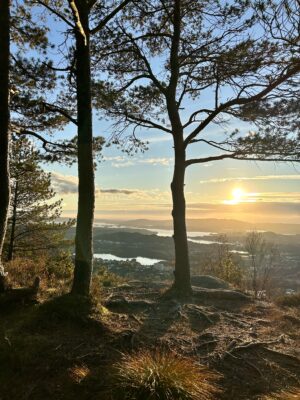 Gullsteinen er en kort men flott tur i skog og kupert terreng. Stien går like fra Coop Extra butikken.